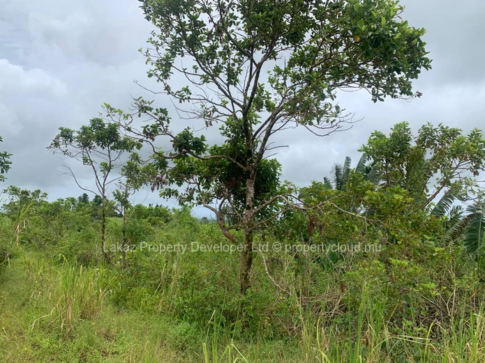 Agricultural Land for Sale - Bois cheri 