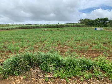 Terrain Agricole