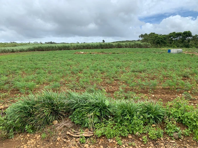 Agricultural land for sale Bois Cheri 