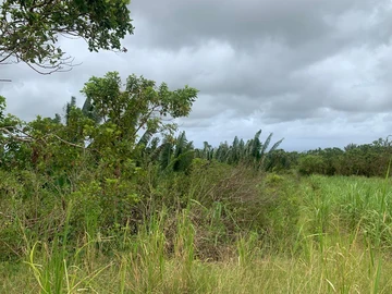 Terrain Agricole
