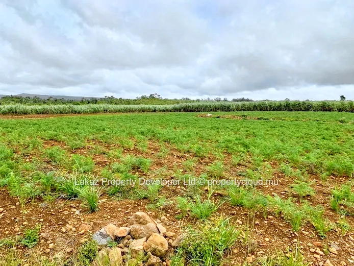 Agricultural land for sale Bois Cheri 