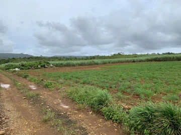 Terrain Agricole