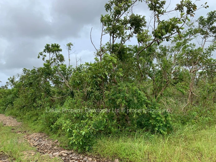 Agricultural Land for Sale - Bois cheri 