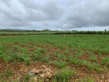 Terrain Agricole