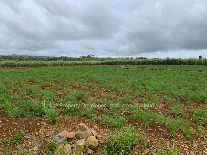 Agricultural land for sale Bois Cheri 