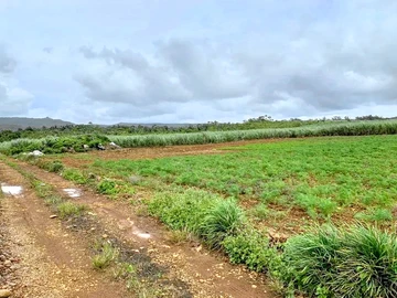 Terrain Agricole