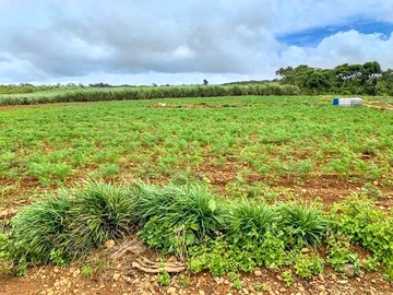 Terrain Agricole