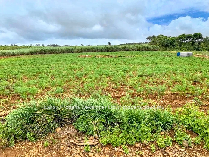 Agricultural land for sale Bois Cheri 