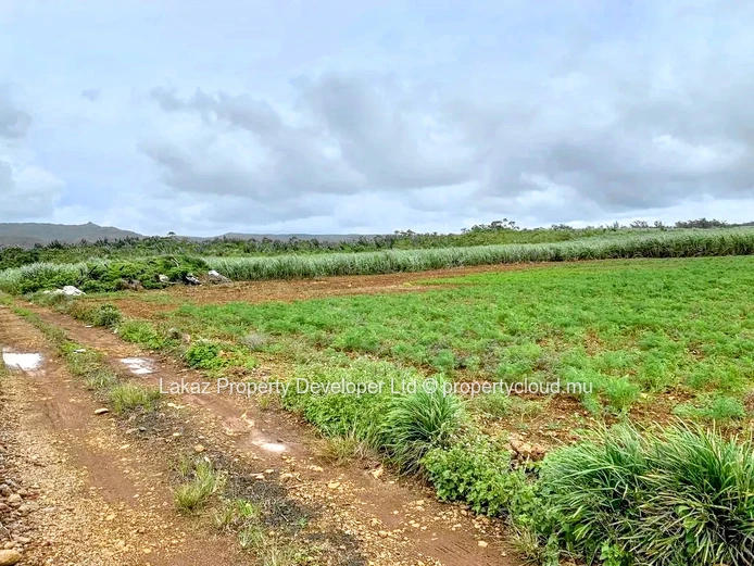 Agricultural land for sale Bois Cheri 